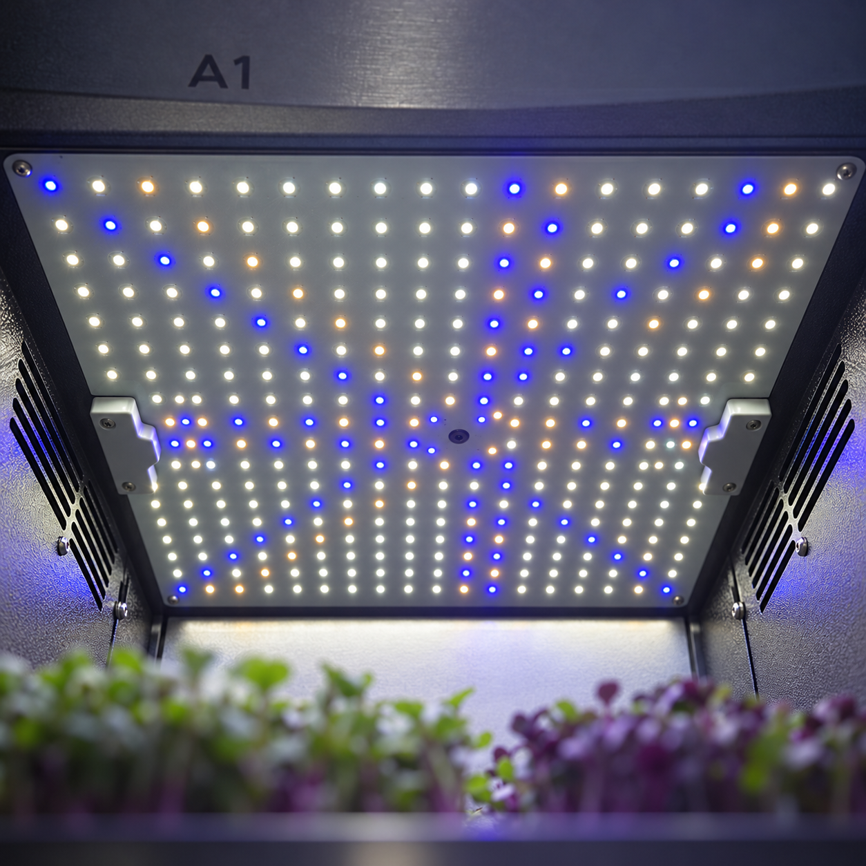Close-up of the nutriKube LED growing panel above tray A1